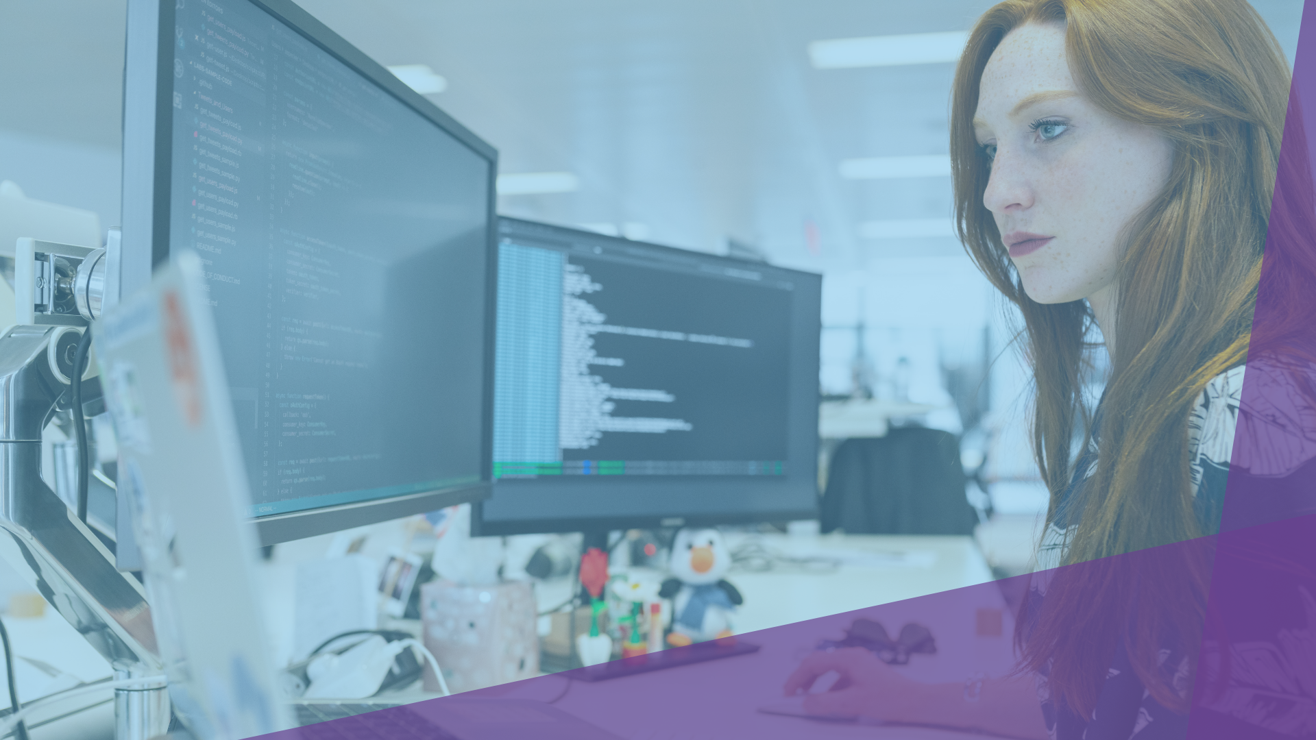 Técnico Superior Administración de Sistemas Informáticos en Red (ASIR)