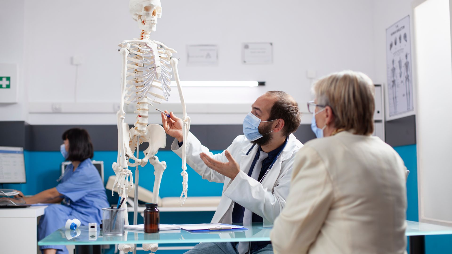 Curso Profesional Anatomofisiología y Patología Básicas